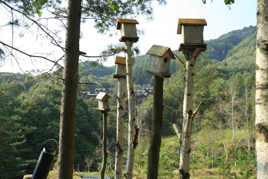Secret Pension Pyeongchang Esterno foto
