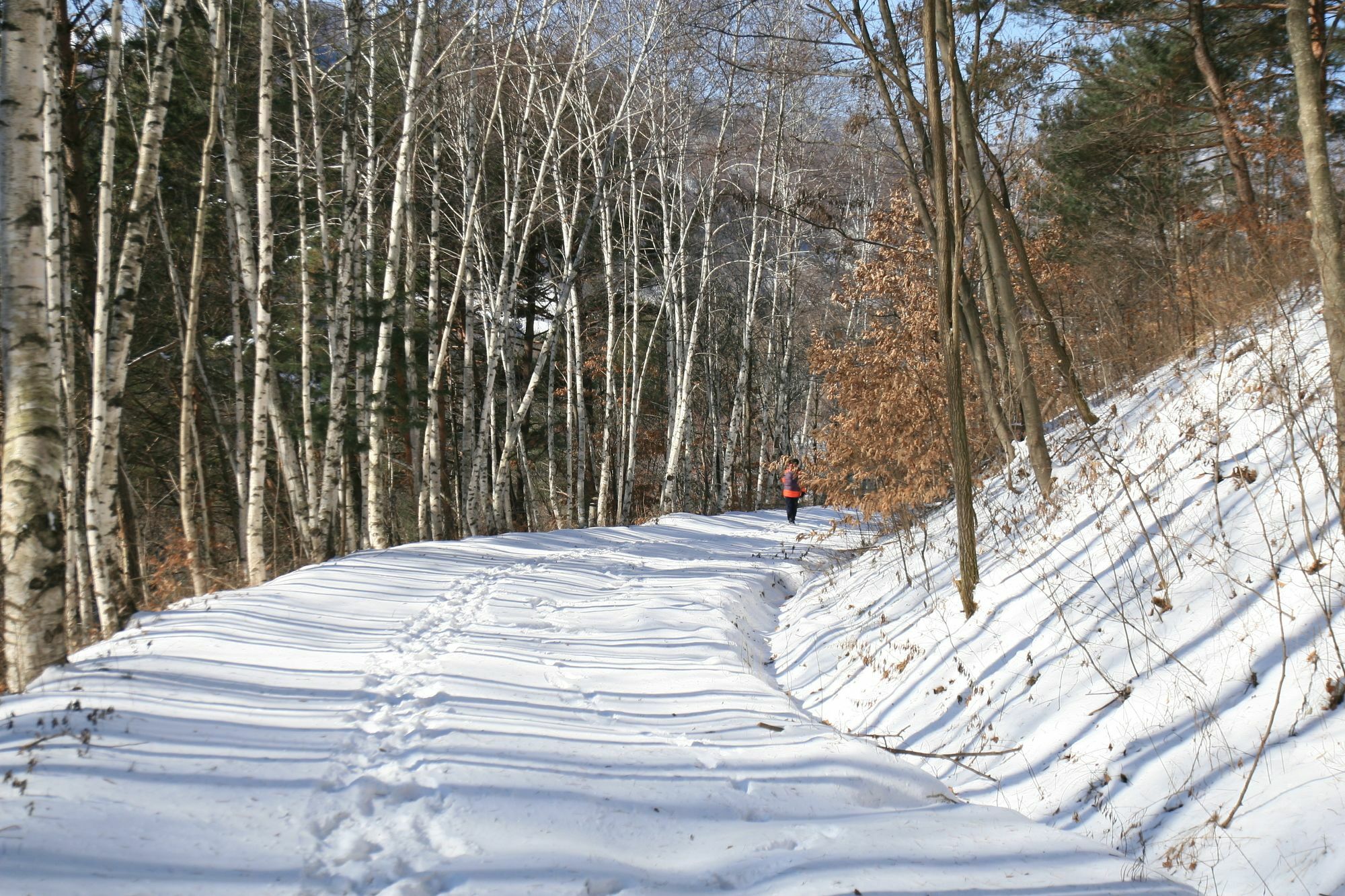 Secret Pension Pyeongchang Esterno foto